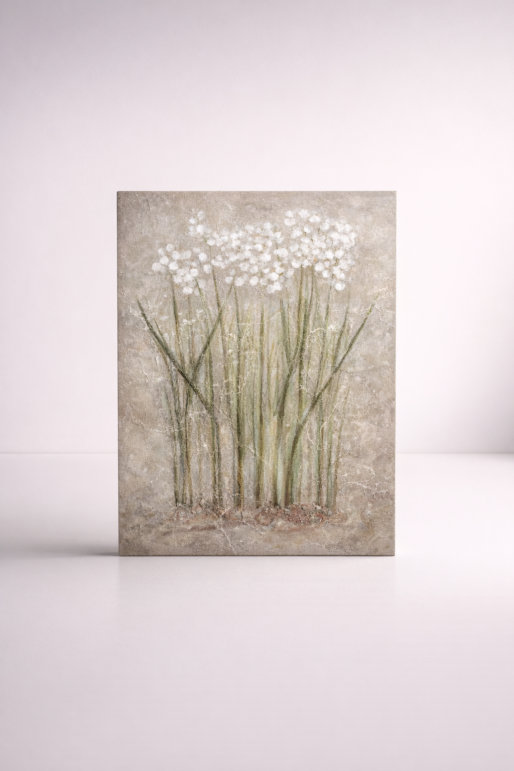 Snowdrops Picture