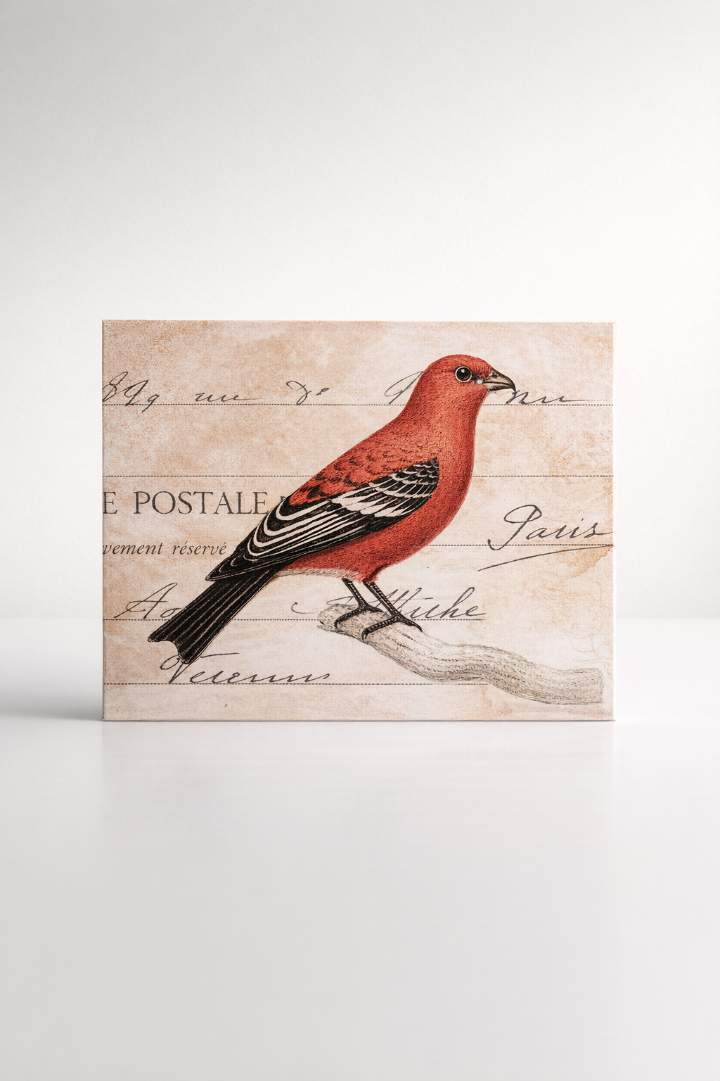 Bird Canvas Picture Red