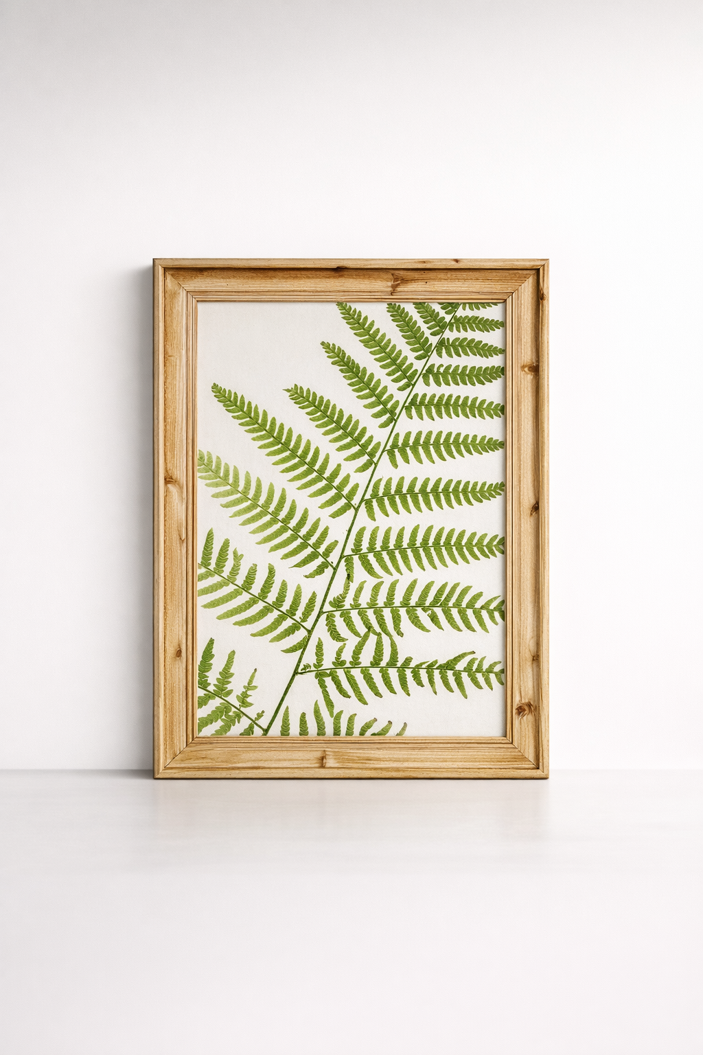 Green Fern Framed Picture