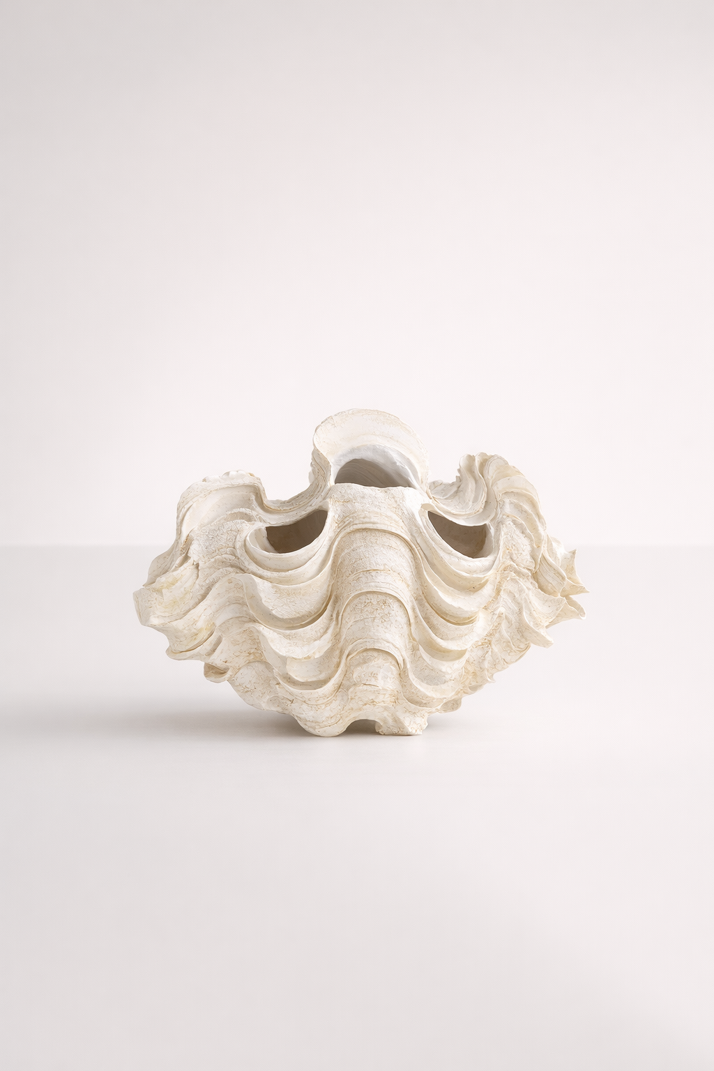 Clam Shell