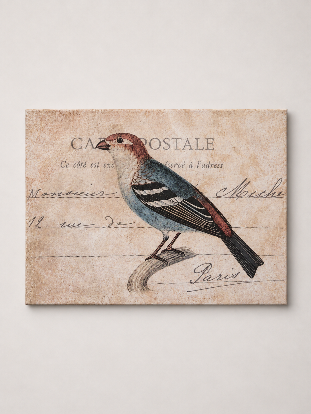 Bird Canvas Picture Blue