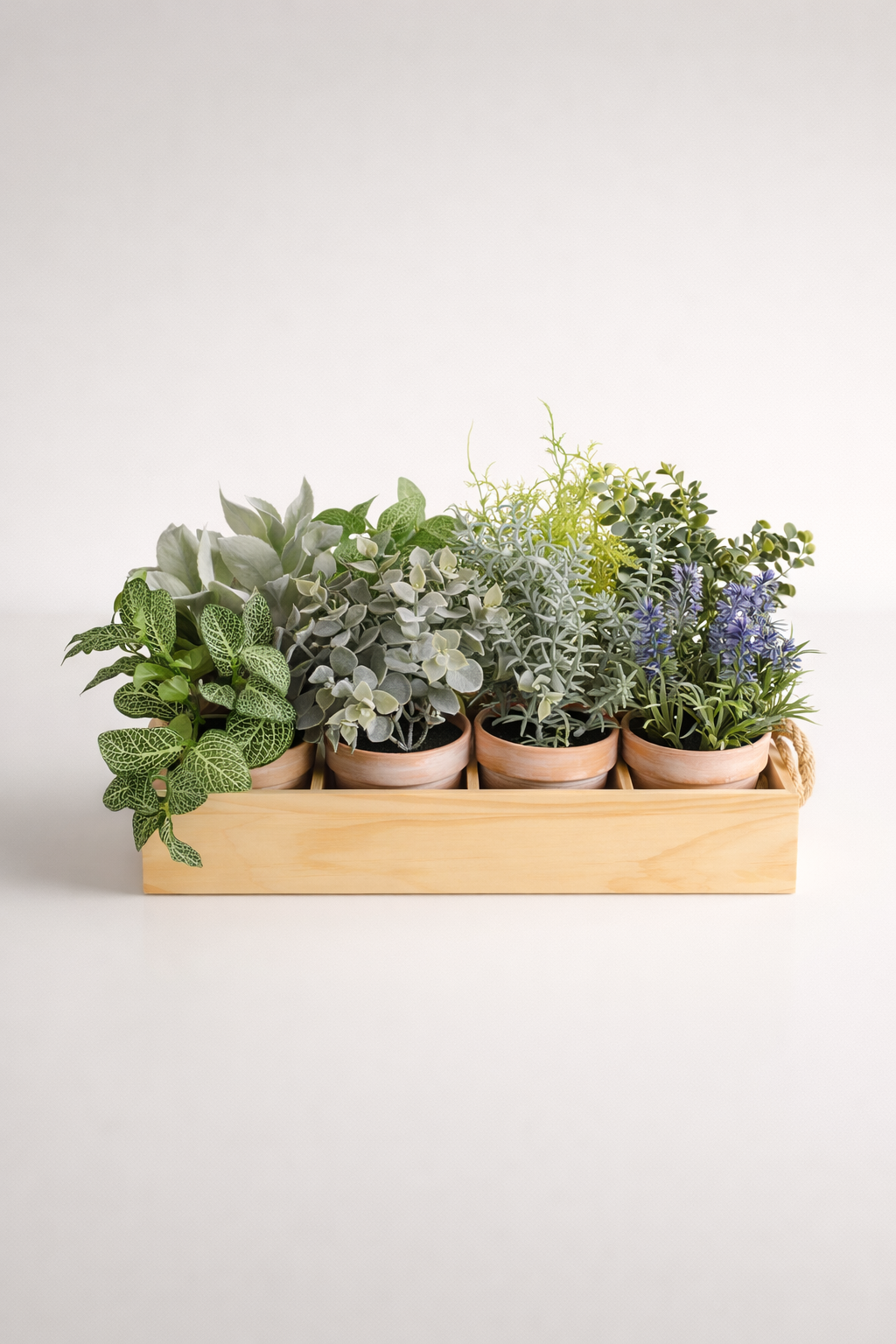 Set Of 8 Herb Pots In Wooden Tray With Handle