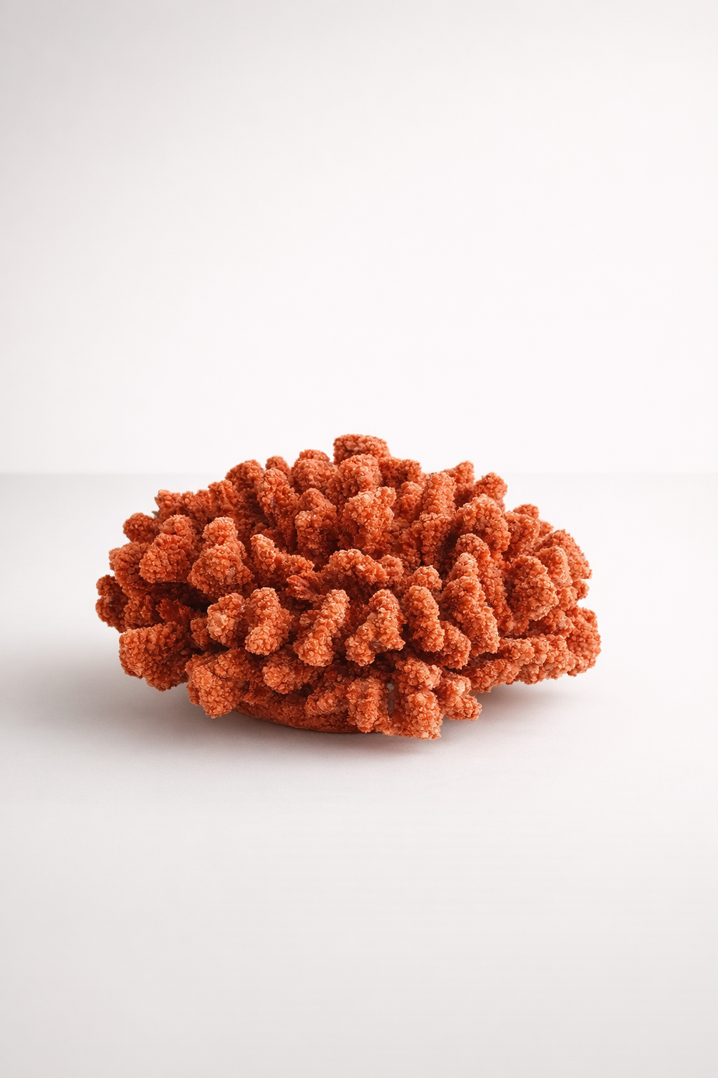 Red Coral Ornament