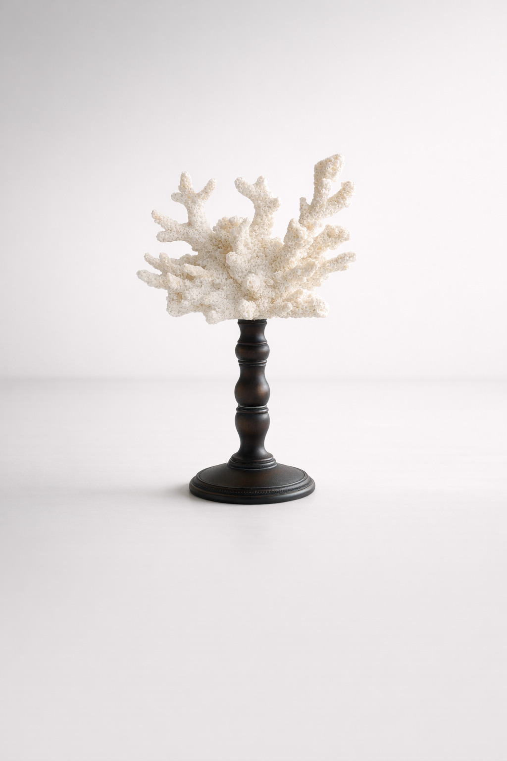 White Coral On Stand